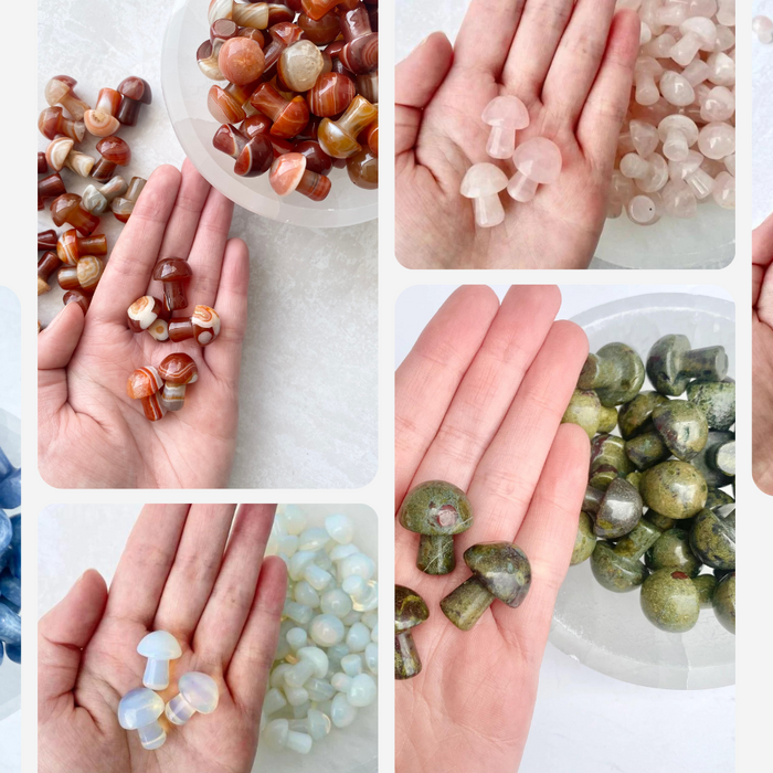 SMALL BUT MIGHTY | TRENDING MUSHROOMS, MOON & STAR CRYSTALS