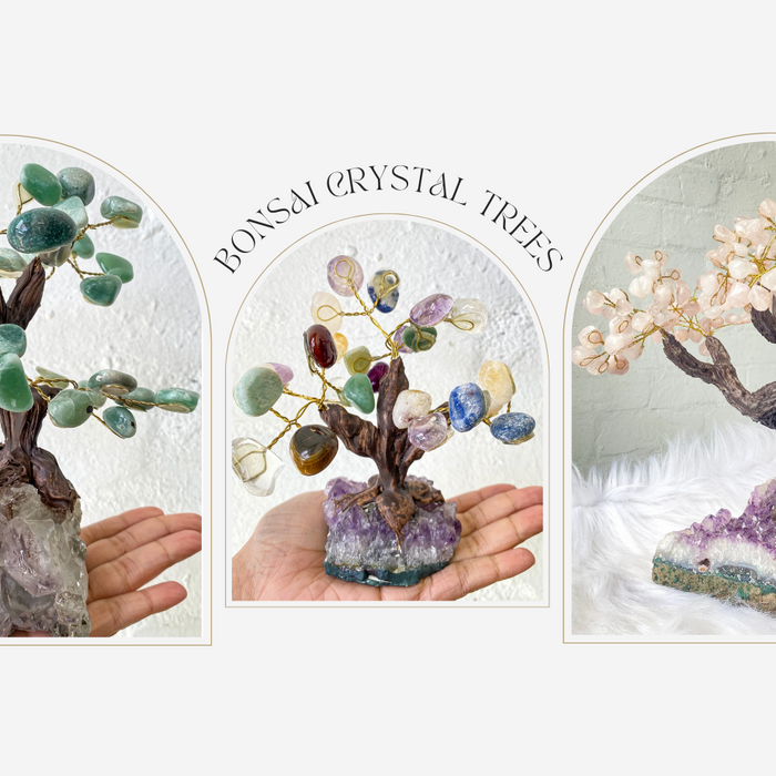 BONSAI CRYSTAL TREES: NATURE'S MASTERPIECE IN CRYSTAL CLUSTERS