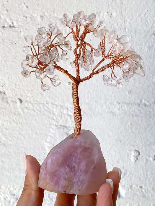 Clear quartz Tree with Rose Quartz Base