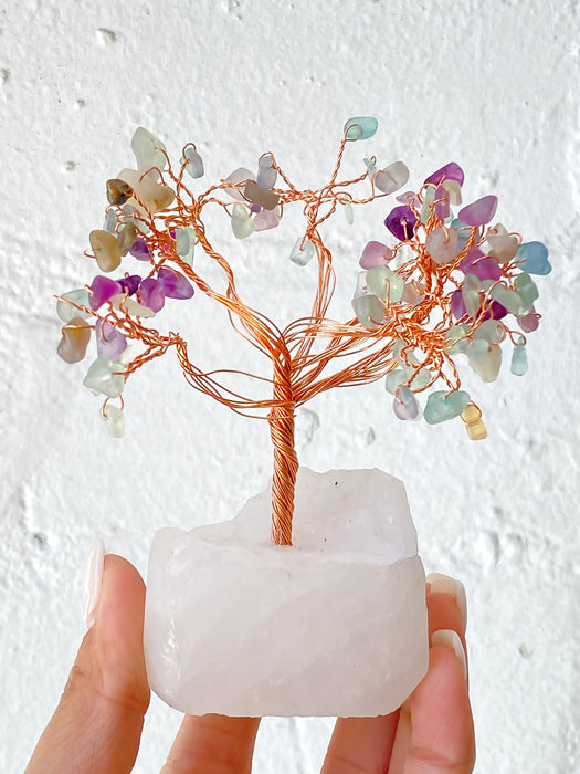 Fluorite Tree with Clear Quartz Base