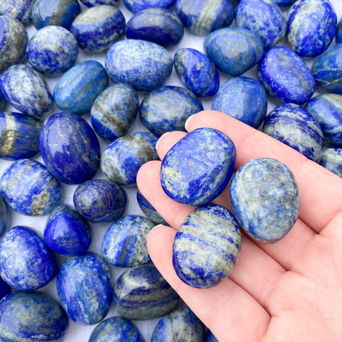 Lapis Lazuli Tumbled Round Stones- A Grade