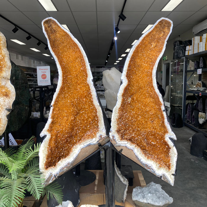 Large Citrine Wings 231kg (PICK UP ONLY)