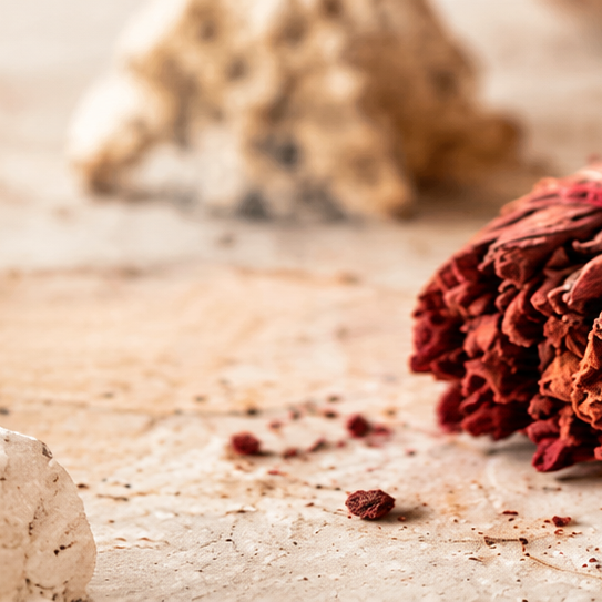 Why Is Dragon’s Blood Sage Red? The Story Behind the Colour