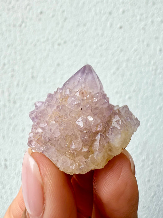 Cactus Spirit Amethyst Quartz CS4