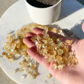 Citrine chips back in-stock!