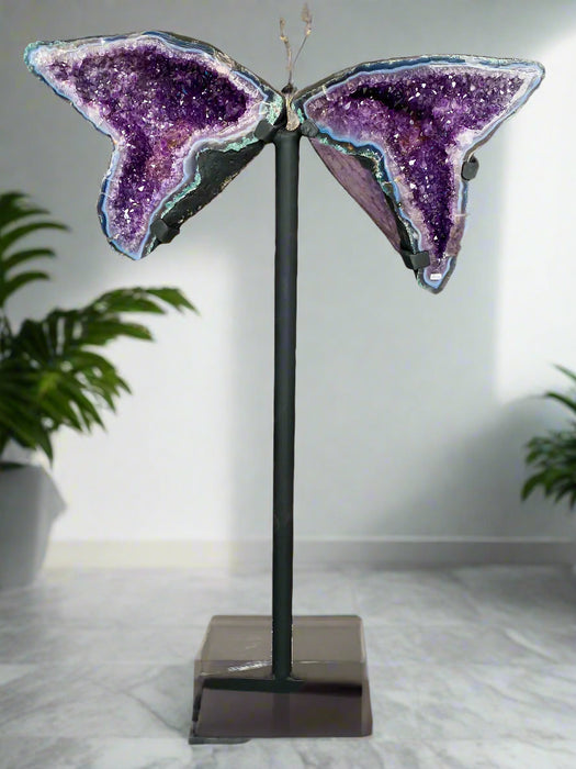 Amethyst Butterfly Wings - P08 *PICKUP ONLY*