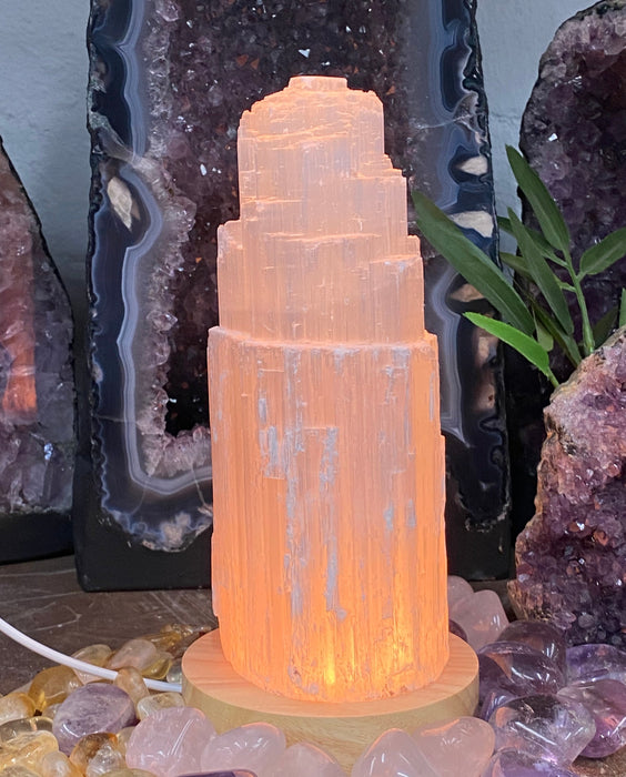Selenite 20cm Lamp with Color Light