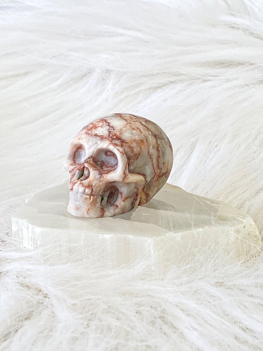 Jasper Skull