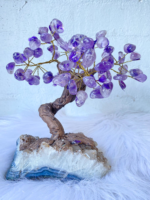 crystal bonsai tree uk Amethyst Bonsai Tree- Large — Aus Crystals
