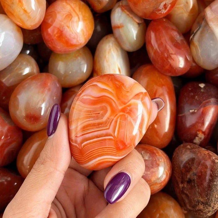 Carnelian Tumbled Stones Large