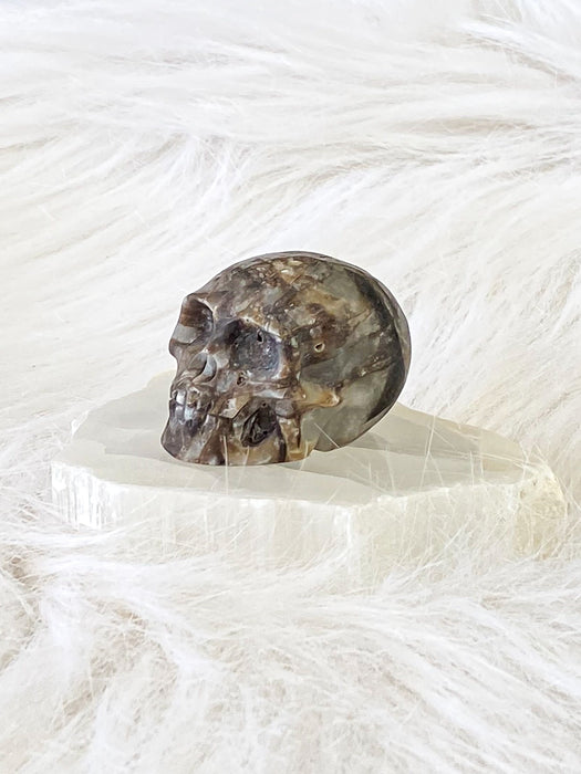 Jasper Skull