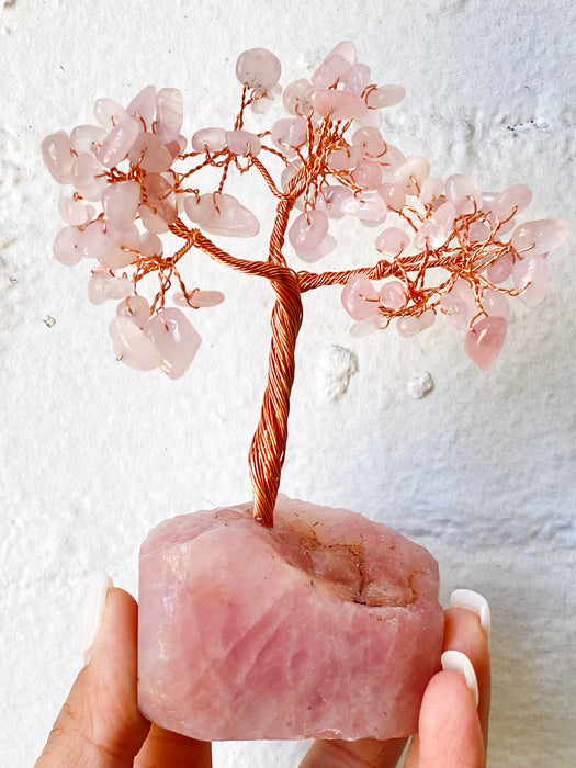 Rose quartz Tree with Rose Quartz Base