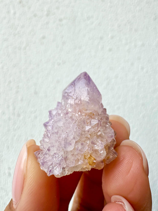 Cactus Spirit Amethyst Quartz CS2