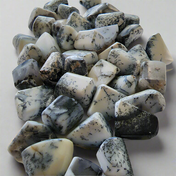 Dendritic Agate Tumbled Stone 1pc