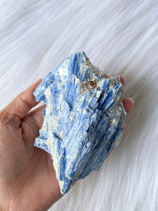 Blue Kyanite SK18