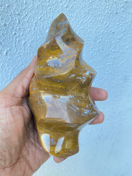 Ocean Jasper Flame OF6
