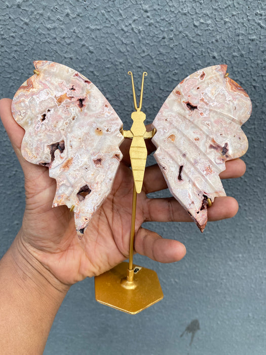 Pink Crazy Lace Agate Butterfly On Stand CB06