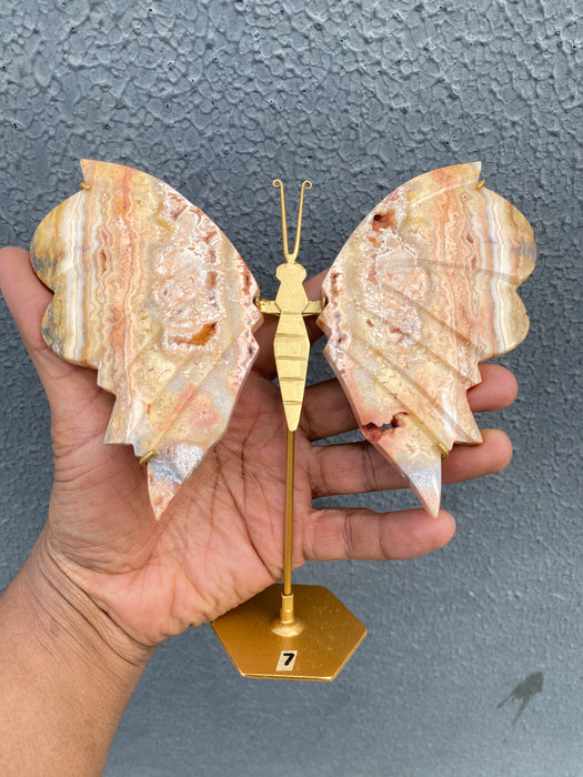 Pink Crazy Lace Agate Butterfly On Stand CB03