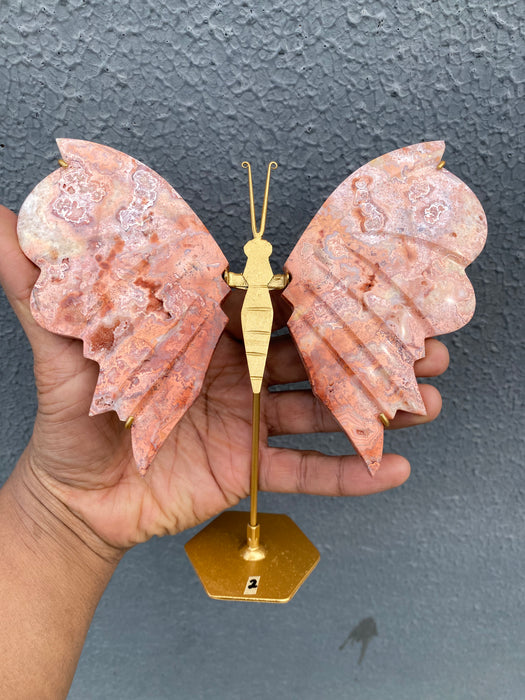 Pink Crazy Lace Agate Butterfly On Stand CB01