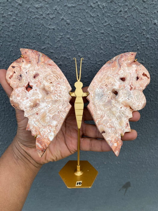 Pink Crazy Lace Agate Butterfly On Stand CB02