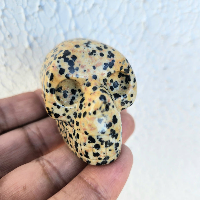 Dalmatian Jasper Skull 1pc