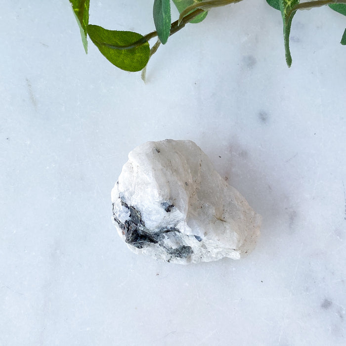 Rainbow Moonstone Rough - Small