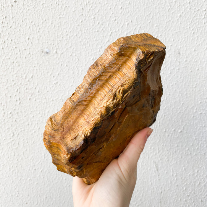 Tigers Eye Rough 1pc