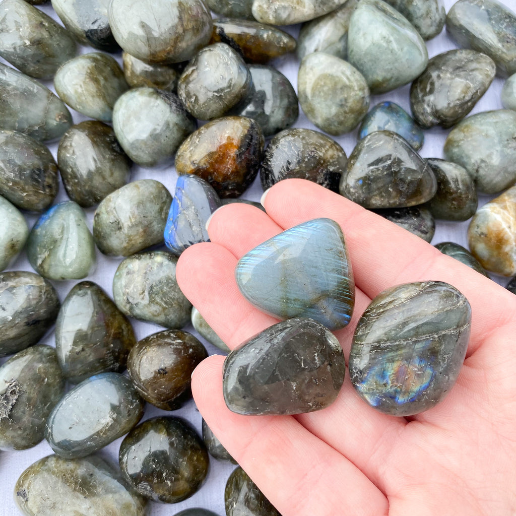 Labradorite Crystal for Trust & Protection -AUS Crystals — Aus Crystals
