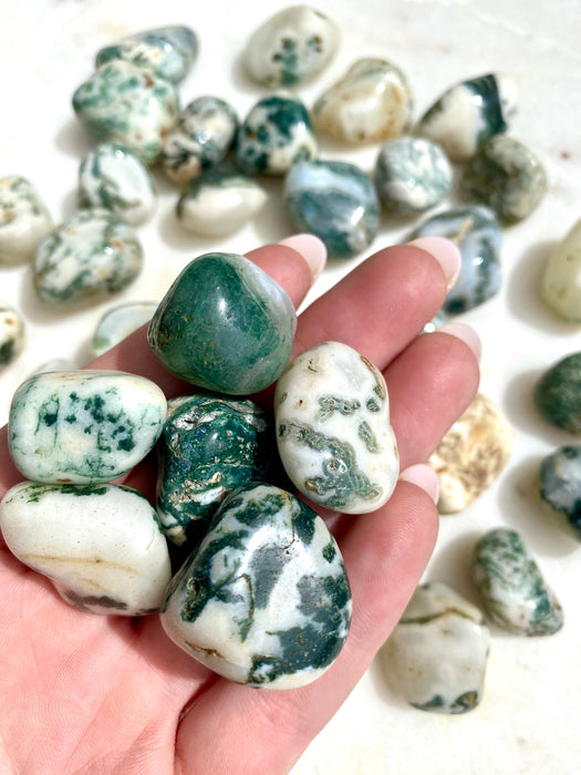 Tree Agate Tumbled Stones