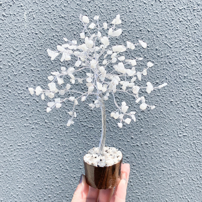 Rainbow Moonstone Crystal Tree - Small Silver