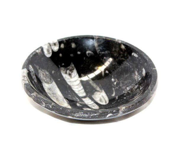 Orthoceras Bowl Small