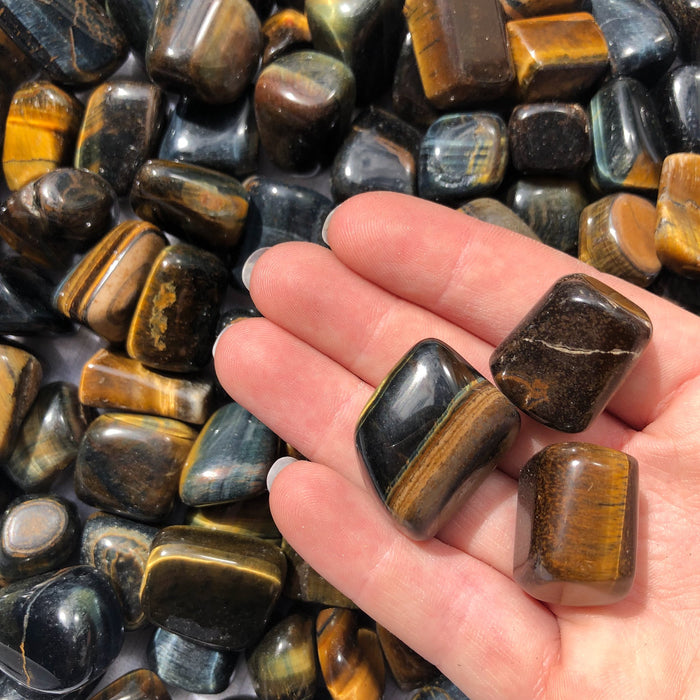 Tiger Eye Tumbled Stones - IN