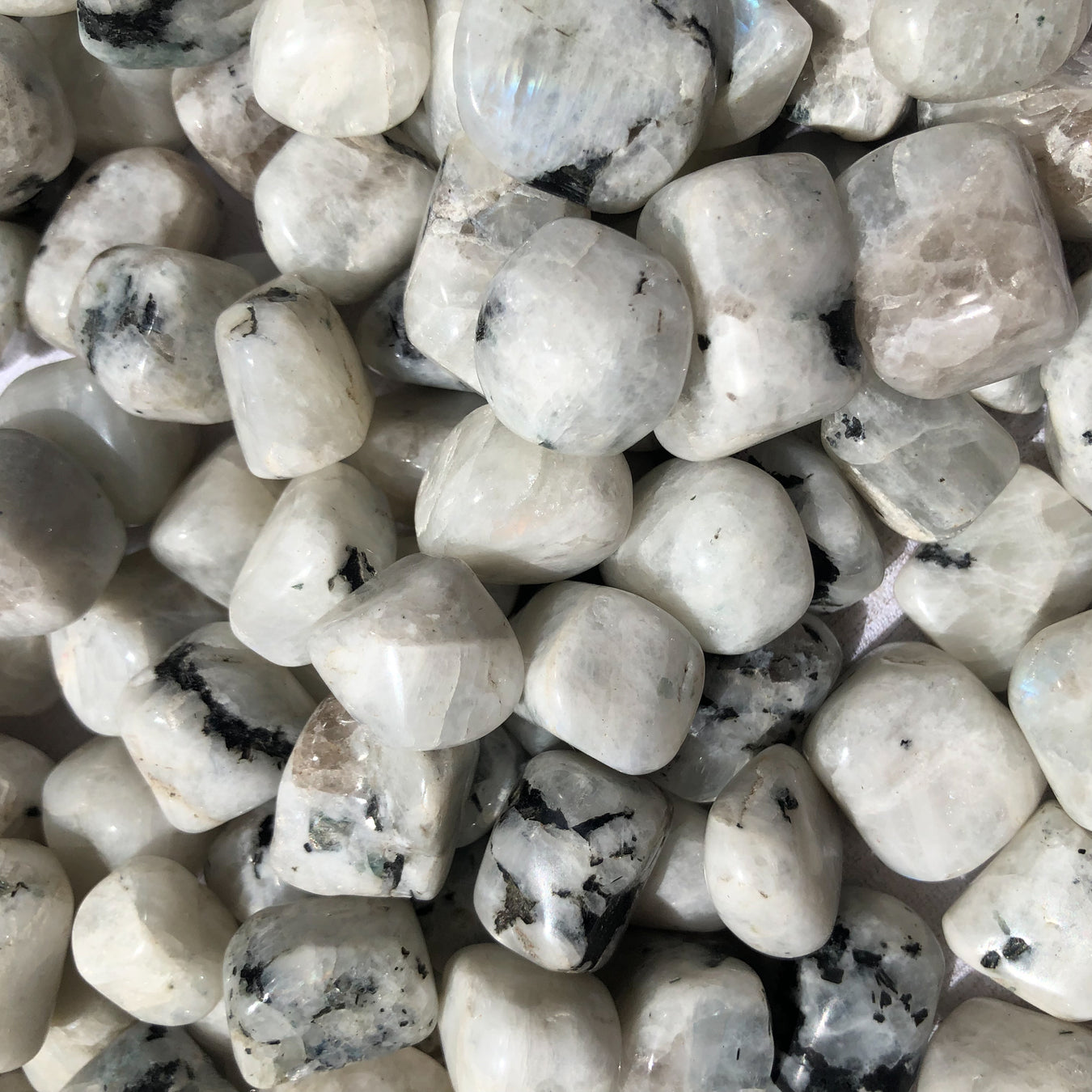 Rainbow Moonstone