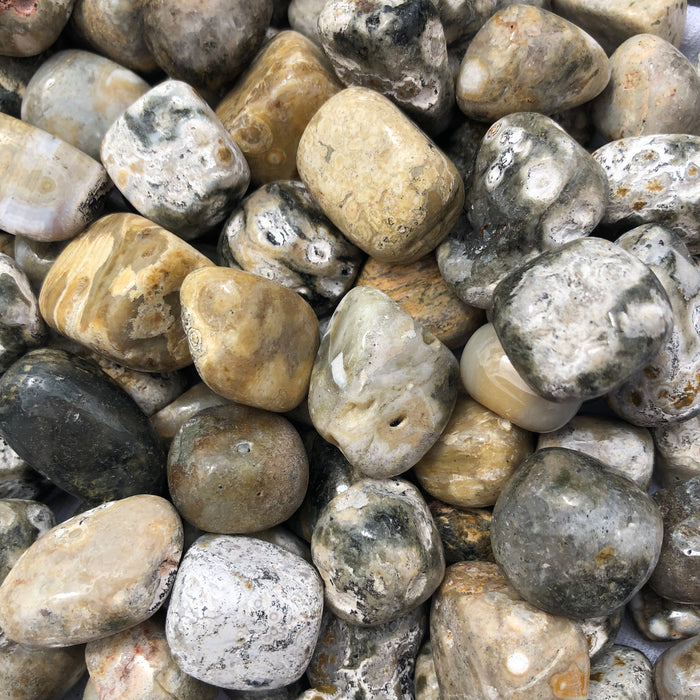 Ocean Jasper Tumbled Stones