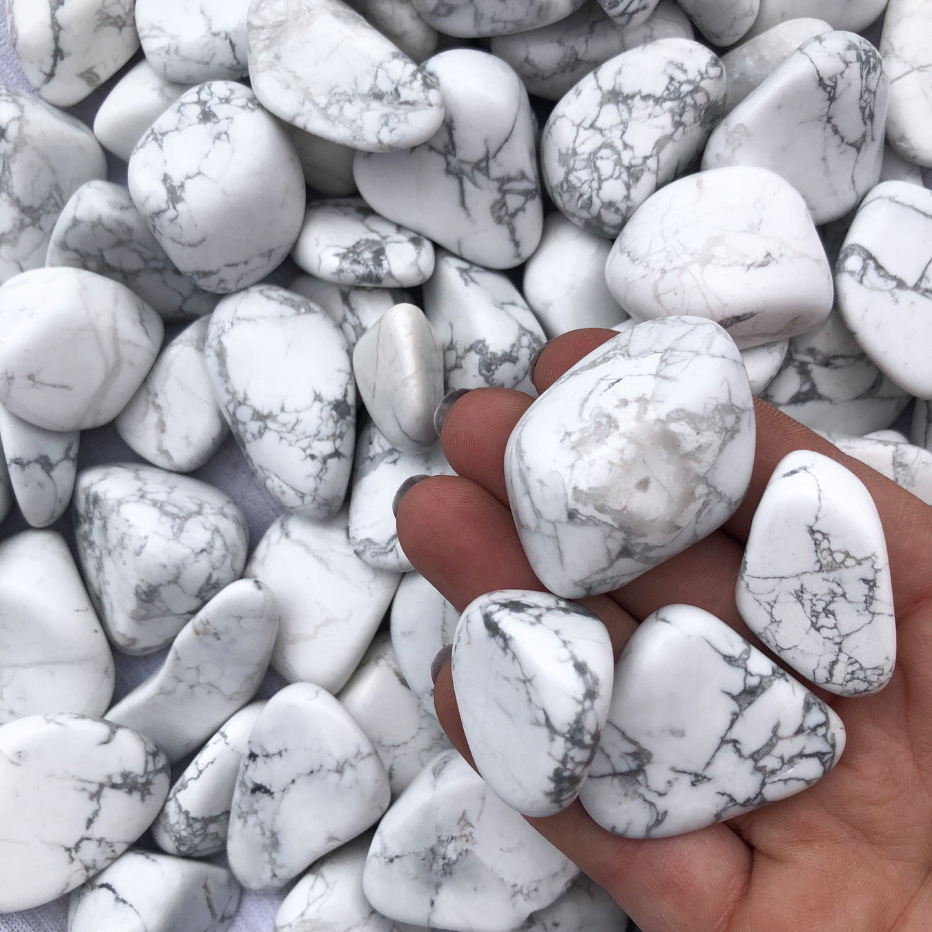 Howlite