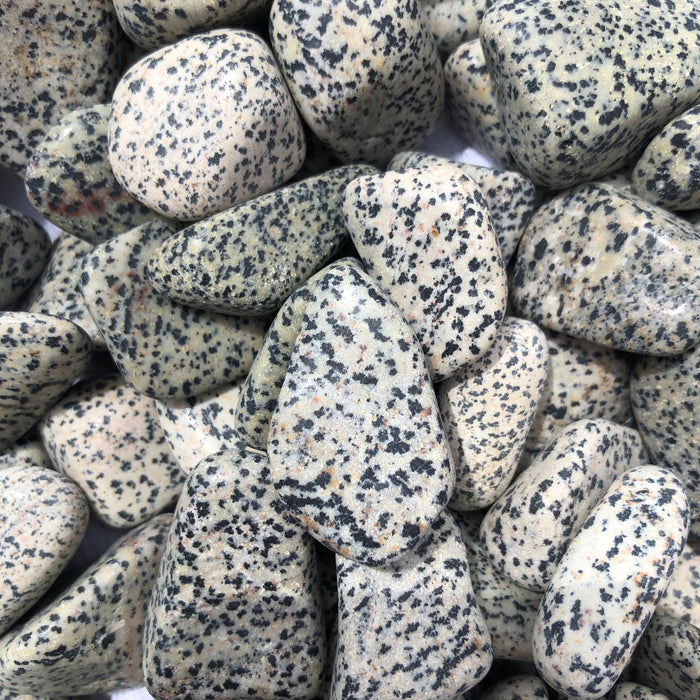 Dalmation Jasper Tumbled Stones