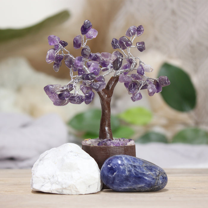 Calm & Relax Kit