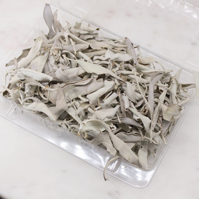 Loose White Sage Leaves