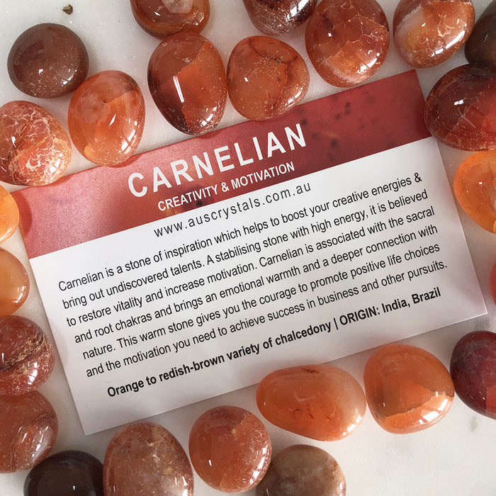 Carnelian Info Card 25pc pack