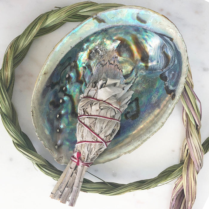 Abalone Shell - Natural/Unpolished