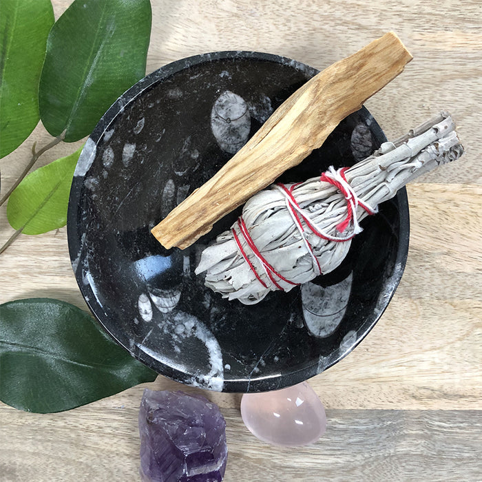 Orthoceras Fossil Bowl Small