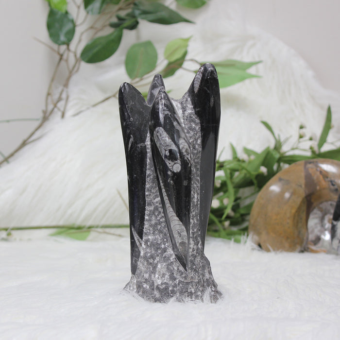 Orthoceras Fossil Tower 20cm