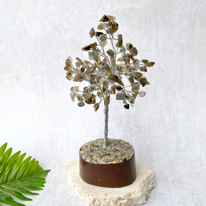 Labradorite Tree- Small Silver