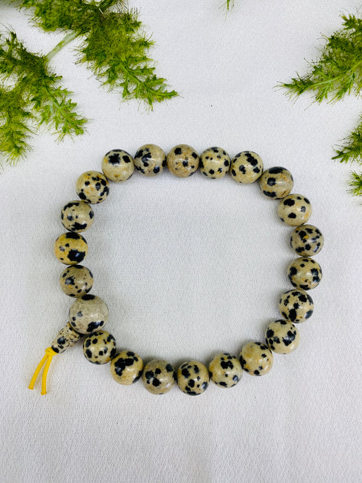 Dalmation Jasper power Bead Bracelet 8mm