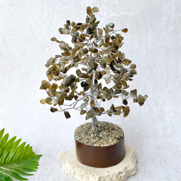 Labradorite Tree- Medium Silver