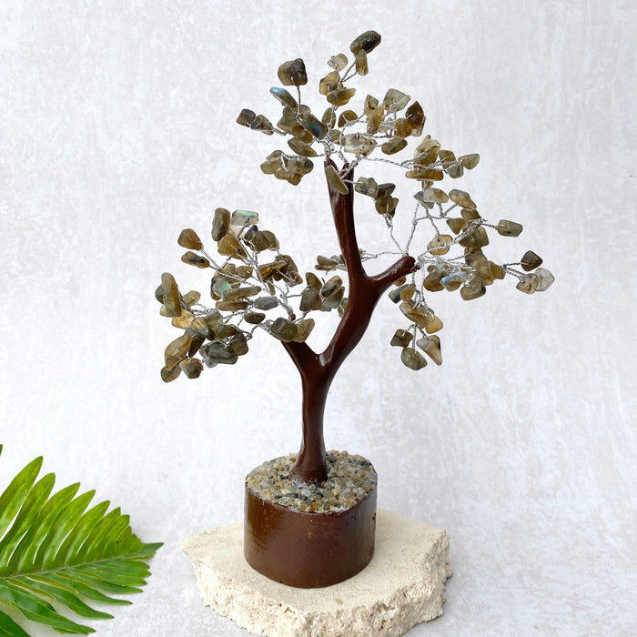 Labradorite Tree- Medium Brown