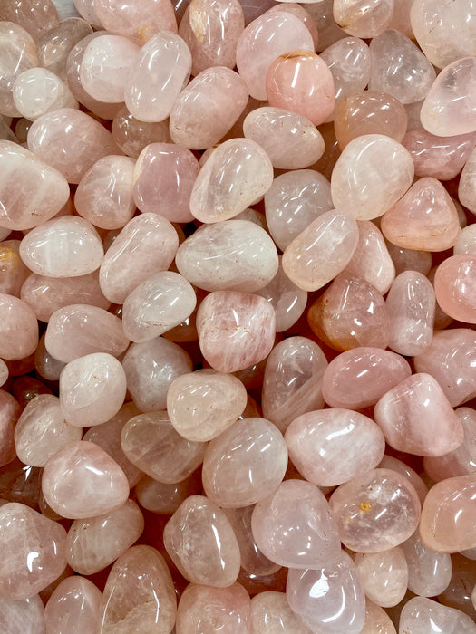 Rose Quartz Tumbled Stones Large