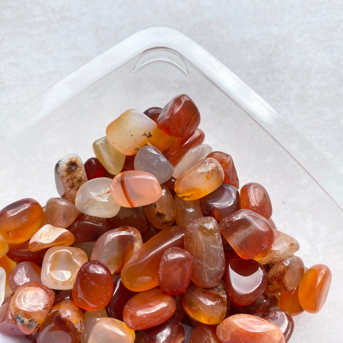 Carnelian Chips Rounded Large 200g